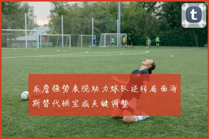 东詹强势表现助力球队逆转局面海斯替代顿宝成关键调整
